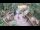 Webcam in Slunj, 16 mi away