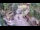 Webcam in Slunj, 16 mi away