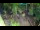 Webcam in Slunj, 32.1 km