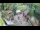 Webcam in Slunj, 12.6 mi away