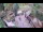 Webcam in Slunj, 12.4 mi away