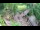 Webcam in Slunj, 51 mi away