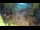 Webcam in Slunj, 15.7 mi away