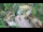 Webcam in Slunj, 40.5 km entfernt
