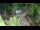 Webcam in Slunj, 40.4 km