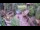 Webcam in Slunj, 40.6 km