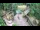 Webcam in Slunj, 16 mi away
