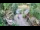 Webcam in Slunj, 16 mi away