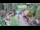 Webcam in Slunj, 16 mi away