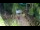 Webcam in Slunj, 12.4 mi away