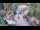 Webcam in Slunj, 16 mi away
