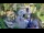 Webcam in Slunj, 12.6 mi away