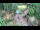 Webcam in Slunj, 12.4 mi away