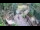 Webcam in Slunj, 16 mi away