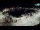 Webcam in Novigrad, 3.9 mi away
