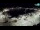 Webcam in Novigrad, 0.1 km
