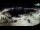 Webcam in Novigrad, 10.4 km