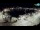 Webcam in Novigrad, 0.1 km entfernt