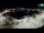 Webcam in Novigrad, 5.6 km