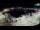 Webcam in Novigrad, 0.1 mi away