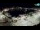 Webcam in Novigrad, 0.1 km