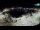 Webcam in Novigrad, 0.2 km