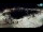 Webcam in Novigrad, 0.2 km