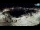 Webcam in Novigrad, 18.7 km