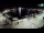 Webcam in Novigrad, 0.2 km