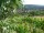 Webcam in Feuerbach, 4.3 mi away