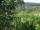 Webcam in Feuerbach, 10.3 mi away