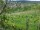 Webcam in Feuerbach, 4 mi away