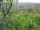Webcam in Feuerbach, 4 mi away