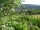 Webcam in Feuerbach, 7.6 mi away