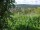 Webcam in Feuerbach, 4.5 mi away