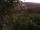 Webcam in Feuerbach, 5 km entfernt