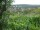 Webcam in Feuerbach, 11.2 km entfernt