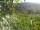 Webcam in Feuerbach, 4.8 mi away