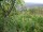 Webcam in Feuerbach, 10.9 mi away