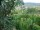 Webcam in Feuerbach, 4.2 mi away