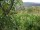 Webcam in Feuerbach, 9.6 mi away