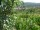 Webcam in Feuerbach, 4.6 km entfernt