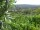 Webcam in Feuerbach, 10.3 km