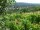 Webcam in Feuerbach, 10.3 km entfernt