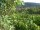 Webcam in Feuerbach, 7.5 mi away