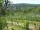 Webcam in Feuerbach, 14.4 km