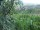 Webcam in Feuerbach, 6.2 mi away