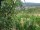 Webcam in Feuerbach, 3.7 mi away