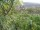 Webcam in Feuerbach, 5.6 mi away