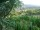 Webcam in Feuerbach, 7.5 mi away